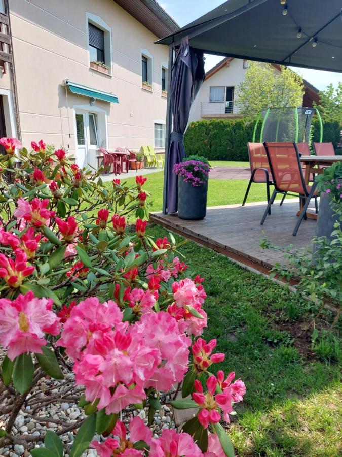 Studio Apartma Zirovnik Cerklje na Gorenjskem Exteriör bild